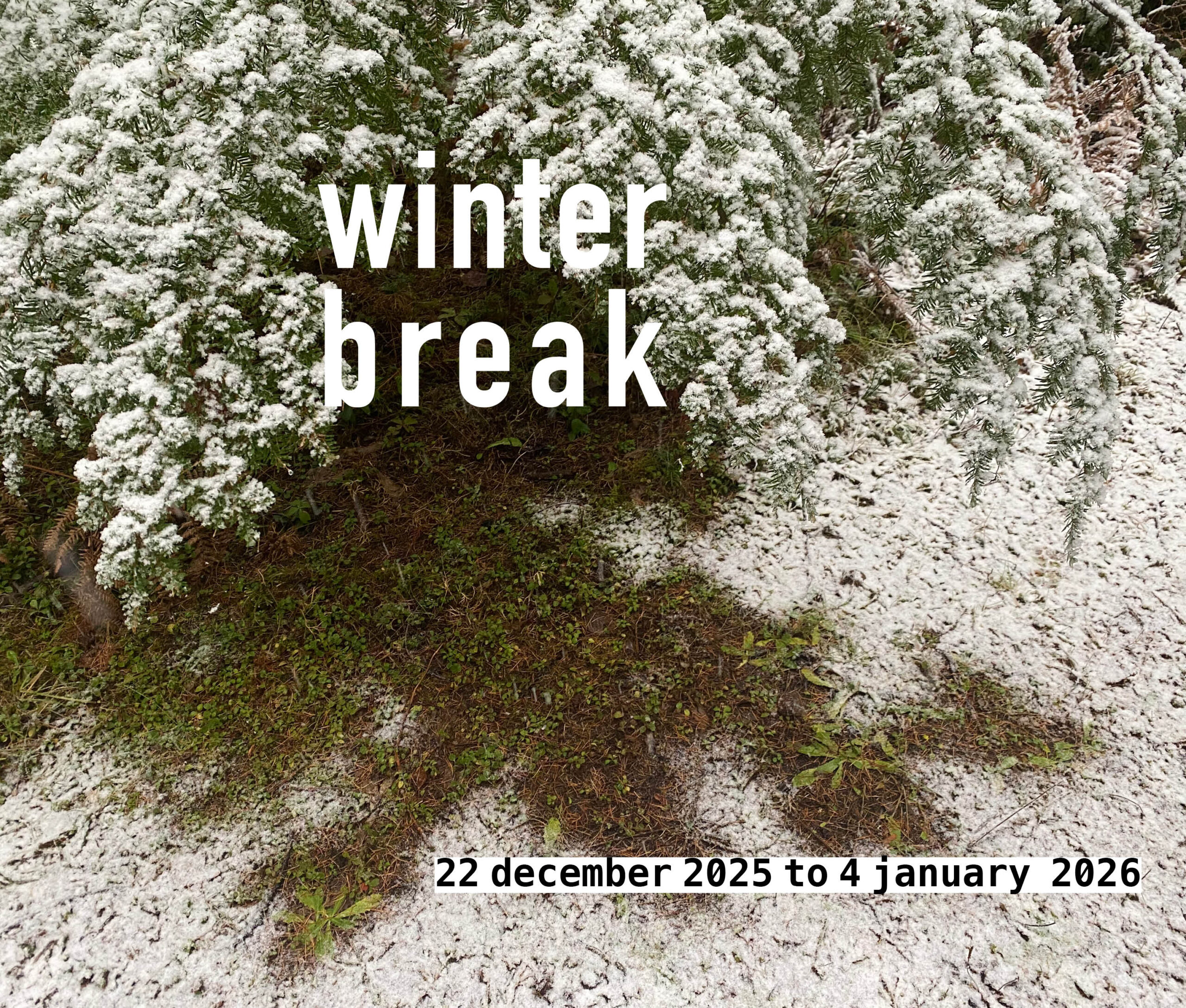 ⋆꙳•❅‧₊‧❆₊⋆