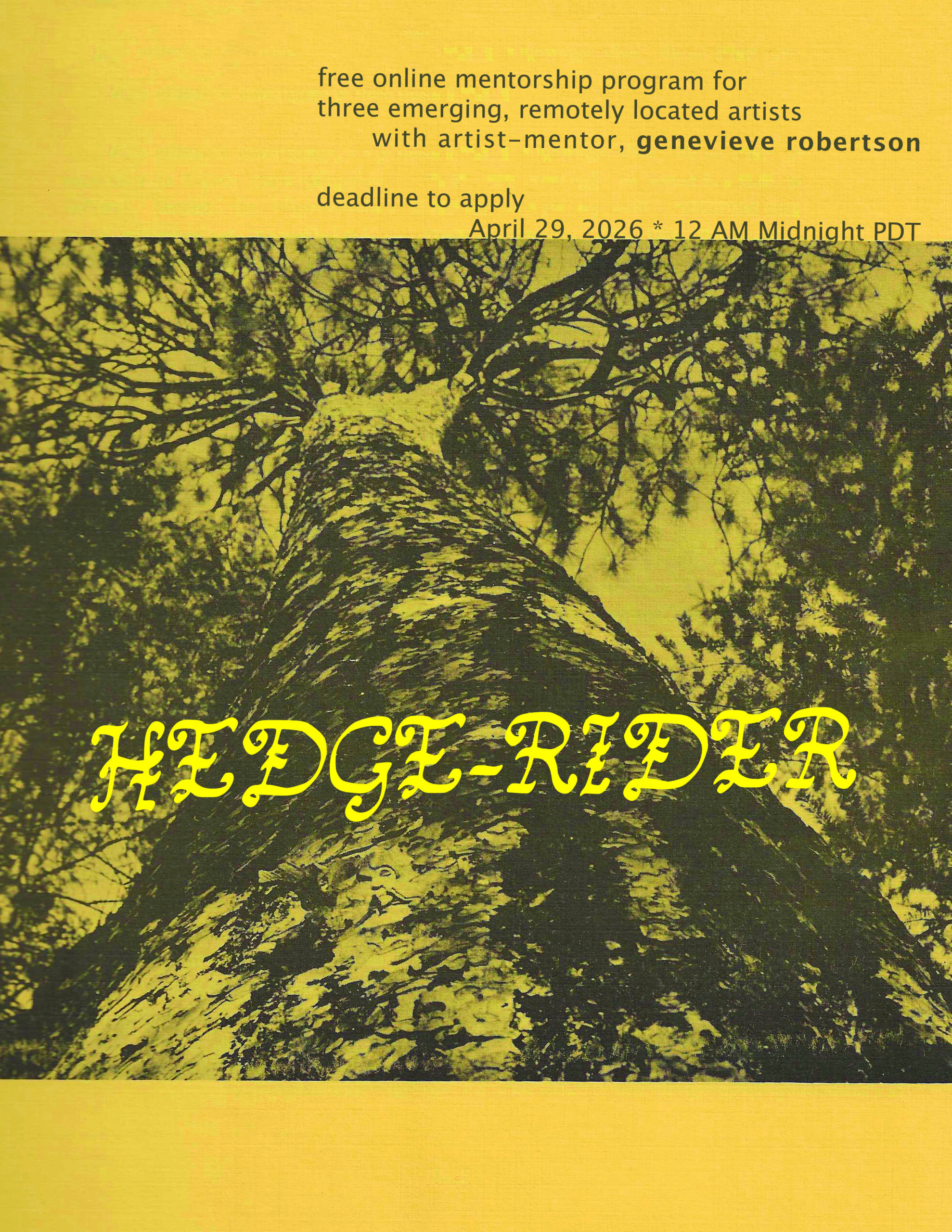 Hedge-rider | online mentorship program