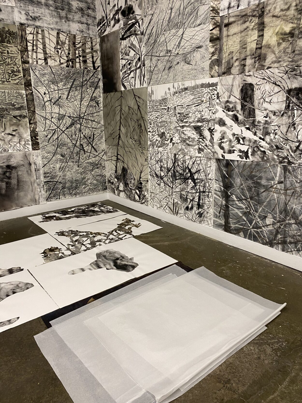 Artist Talk x Genevieve Robertson